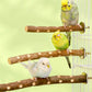 Natural Wood Bird Perch Stand