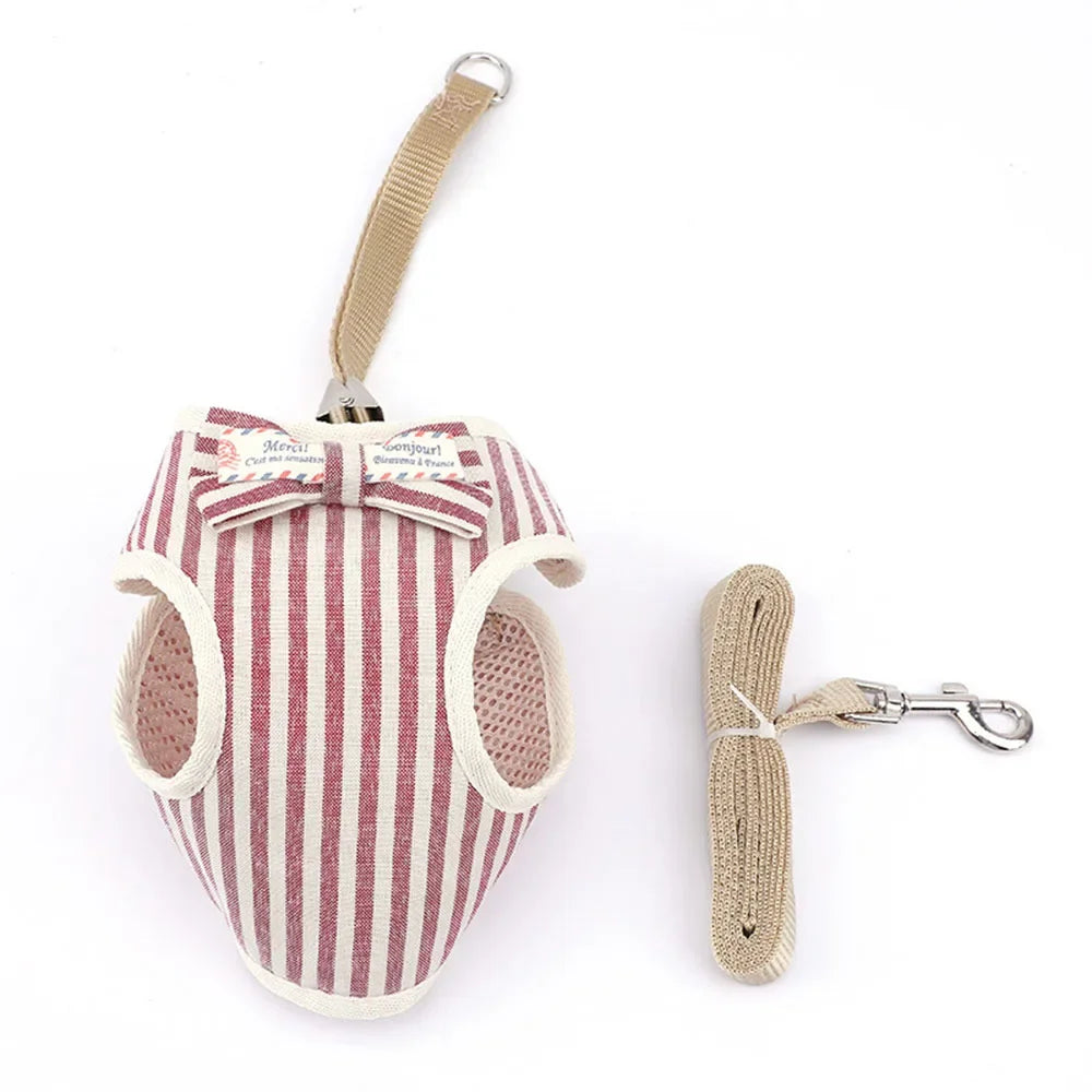 Nylon Mesh Pet Harness and Leash Set for Small Cats and Dogs