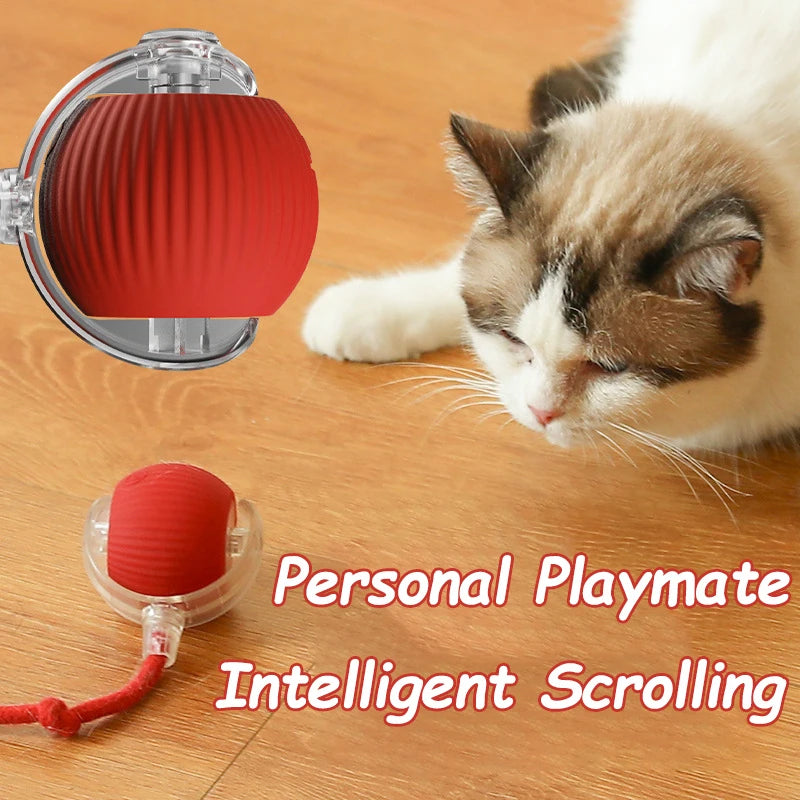 Cat Interactive Ball Toy with Automatic Rolling