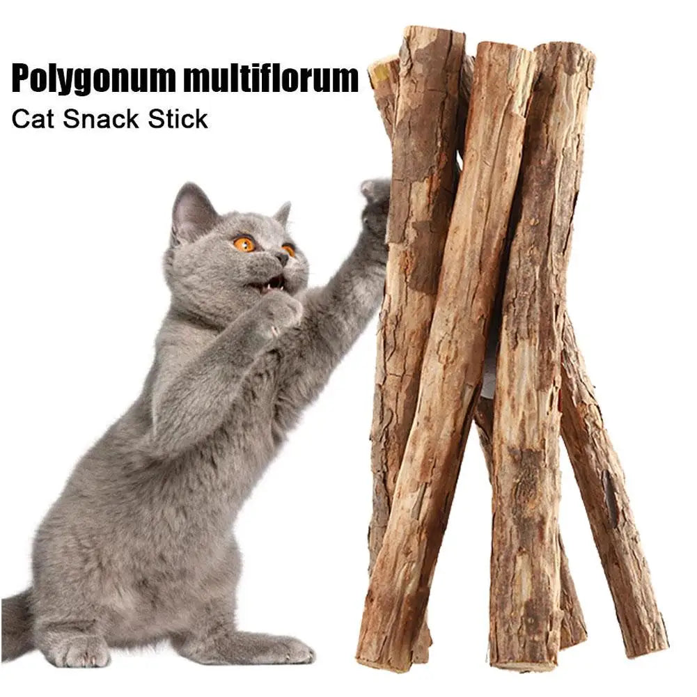 Natural Catnip Sticks for Cats