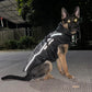 Winter Warm Big Dog Coat with Fur Collar