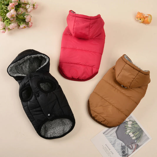Waterproof Hooded Winter Coat for Small to Medium Dogs & Cats