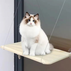 Winter Cat Hammock Window Perch - Washable Detachable Suction Cup Bed