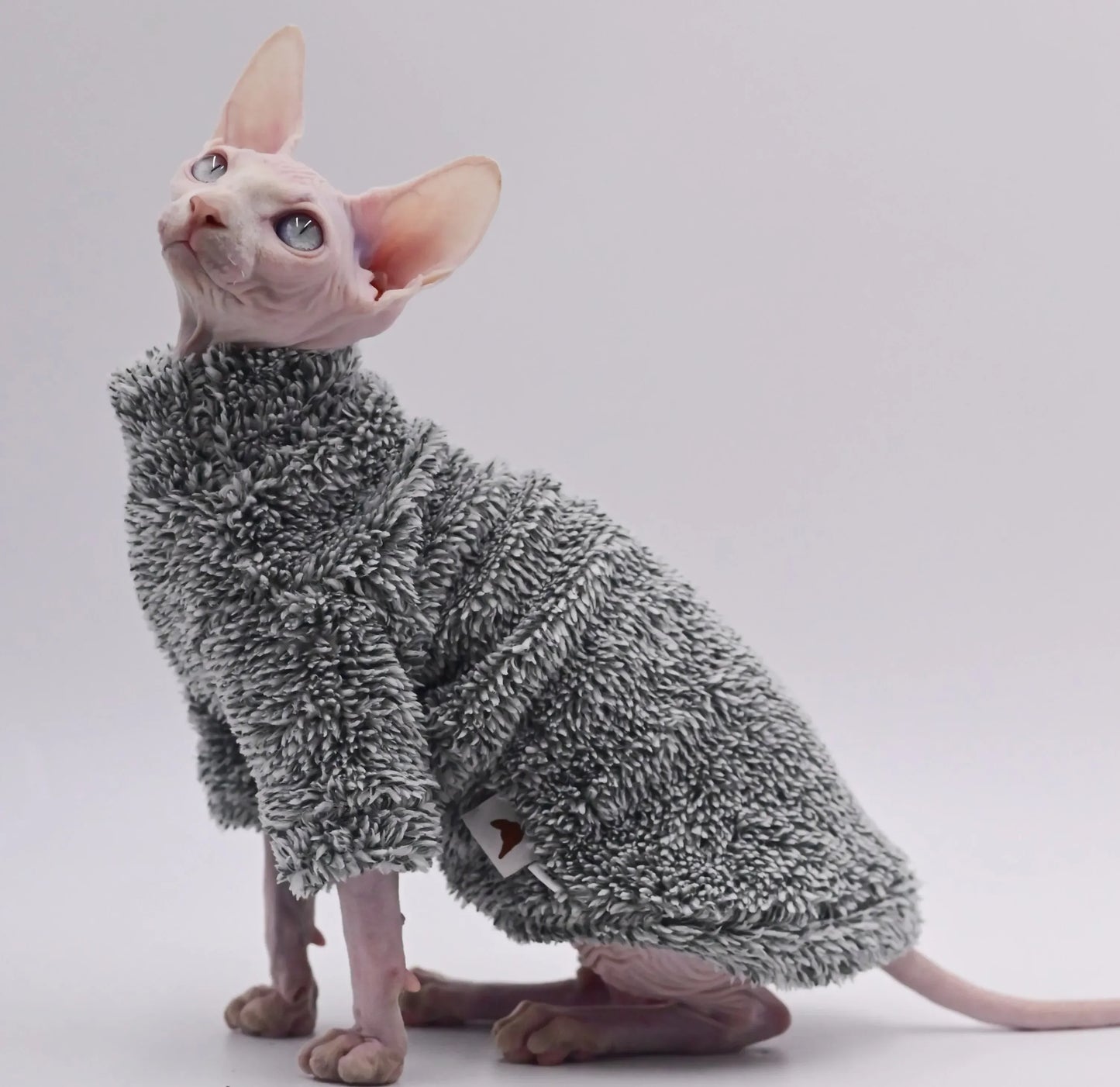 Double-Sided Fluffy Winter Jacket for Hairless Cats & Sphynx