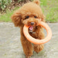 Premium EVA Pet Flying Disk - Interactive Training Ring Puller for Dogs