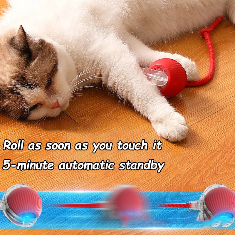 Cat Interactive Ball Toy with Automatic Rolling
